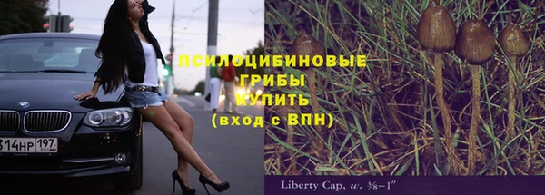 МДМА Алексеевка