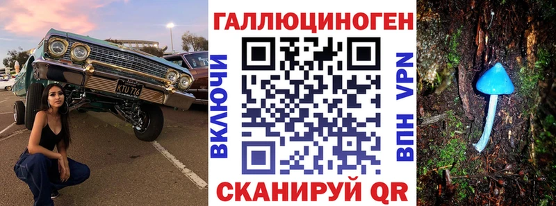 Галлюциногенные грибы Psilocybe  Одинцово 